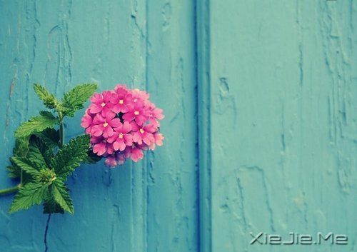 若你懂得，就请珍惜 (2)