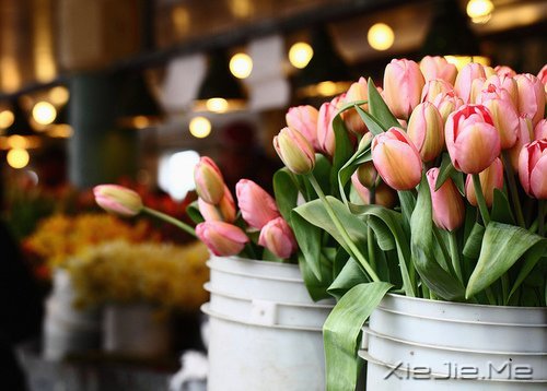 若你懂得，就请珍惜 (4)
