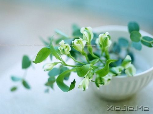 生命是一首悲欢交集的歌，我们都是那个唱歌的人 (1)
