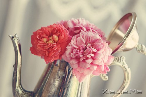 想追求什么，就去努力吧 (8)