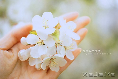 所谓幸福，就是一些不知不觉的小片断 (1)