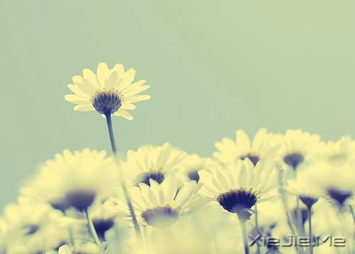 所谓幸福，就是一些不知不觉的小片断 (4)