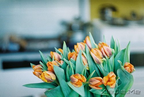 早安心语：别为不该为的人，伤了不该伤的心 (11)