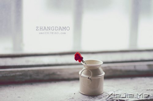 晚安心语：简单做自己，总有一扇门为梦想而开 (10)