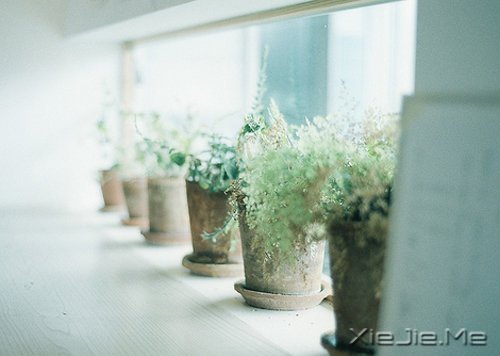 在时间的渡口，我们皆是过客 (12)