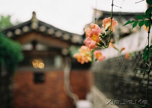 早安心语：时间会咬人，你不走就会满身伤痕 (3)