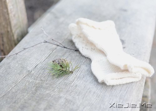 早安心语：时间会咬人，你不走就会满身伤痕 (10)