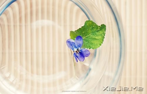 晚安心语：勇敢生活，微笑面对 (2)