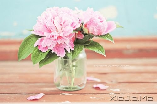 晚安心语：勇敢生活，微笑面对 (6)