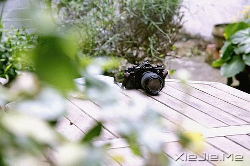 晚安心语：独走的路，是最美的风景 (6)