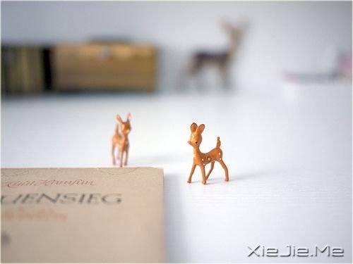 早安心语：选一种姿态，让自己活得无可替代 (5)