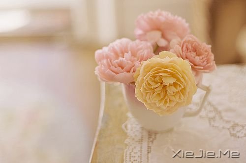 早安心语：选一种姿态，让自己活得无可替代 (9)