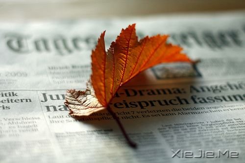 晚安心语：累了，蹲下来抱抱自己 (2)