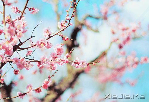 常常观自心，便会更智慧 (6)
