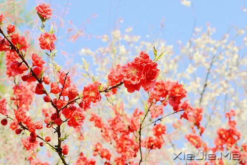 常常观自心，便会更智慧 (5)