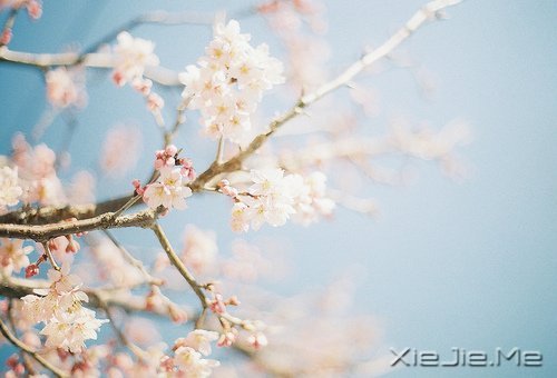 常常观自心，便会更智慧 (7)