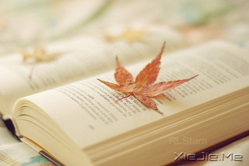 做什么样的人，决定权在自己